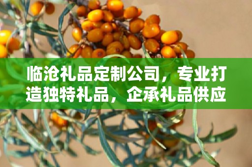 临沧礼品定制公司，专业打造独特礼品，企承礼品供应链卓越服务
